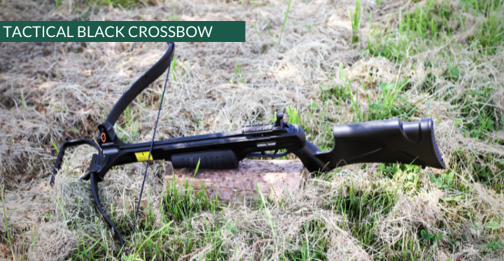 RECURVE CROSSBOW CHACE WIND TACTICAL BLACK OR CAMO 150 LBS-survival gear-Sanlida-Tactical black-Fairbow