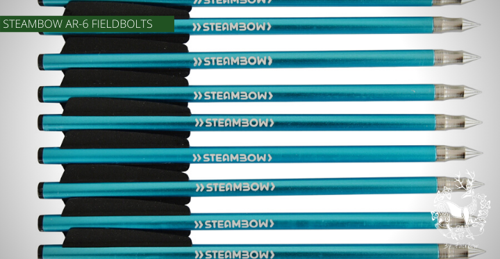 STINGER TARGET BOLTS FIELDTIPS (SET OF 10 PCS )-Steambow-Fairbow