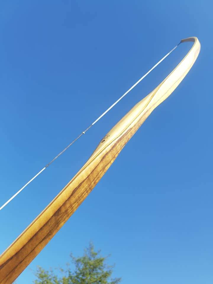 THE REBEL BOW WITH BACKSET 43@28 BLACK LIMBA-Bow-Fairbow-Fairbow