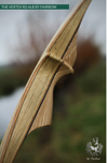 THE VERTEX BOW R-D 64" BLACK LIMBA, BAMBOO-GLASS 39 LBS @ 28 INCH RH-Bow-Fairbow-Fairbow