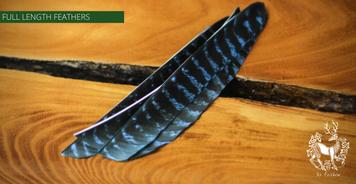 TURKEY FEATHERS NATURAL BARRED SOLD PER DOZEN RIGHT WING-Feathers-Fairbow-Natural not colored-Fairbow